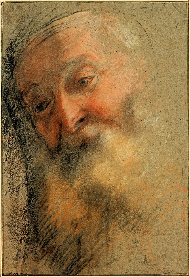 Federico Barocci - Head of an Old Bearded Man, 1584-1586 - Google Art Project