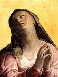 Federico zuccari, assunzione, dettaglio 01