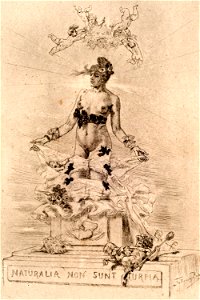 Felicien Rops, Holocauste, Naturalia Non Sunt Turpia (What is natural is not dirty) (1895) heliogravure retouched with drypoint (21.6 x 15.2 cm) Michael C. Carlos Museum, Emory University, Atlanta