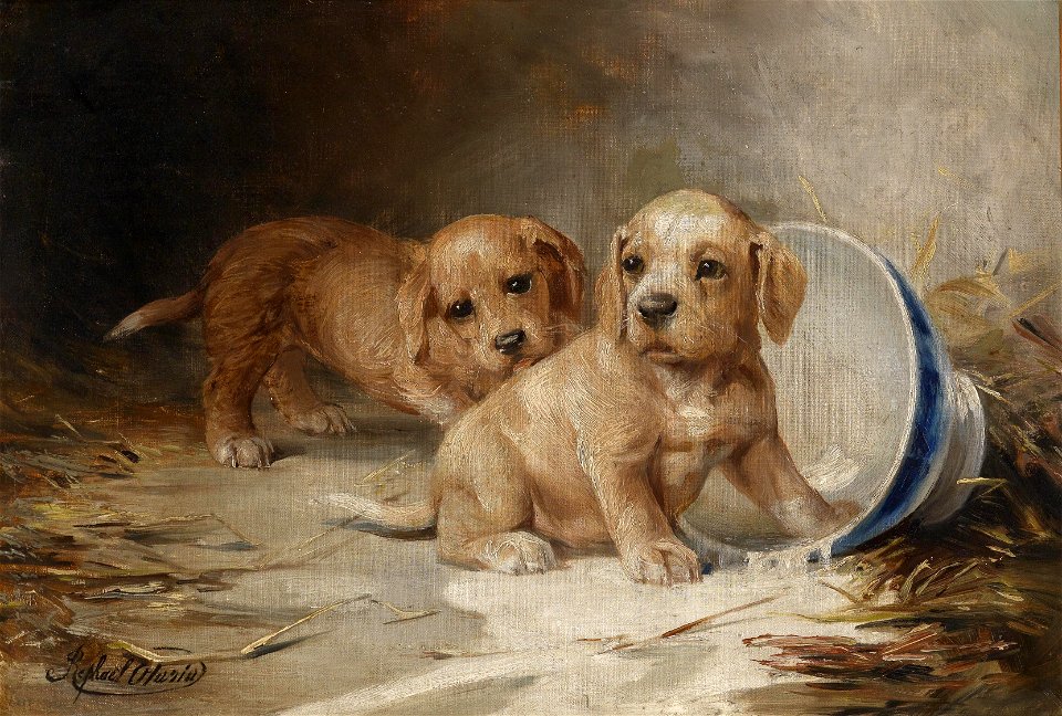 Federico Olaria Welpen