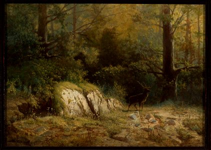 Feliks Brzozowski - Forest landscape with a deer - 35595 - National Museum in Warsaw