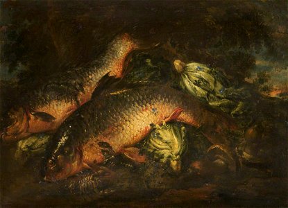 Felice Boselli (1650-1732) - Still Life with Carp - 1298289 - National Trust