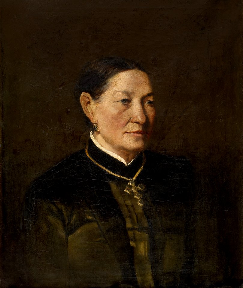 Charles François Felu - Mevrouw Meyer (1884)