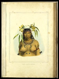 Femme Camacan Mongoyo (2), da Coleção Brasiliana Iconográfica