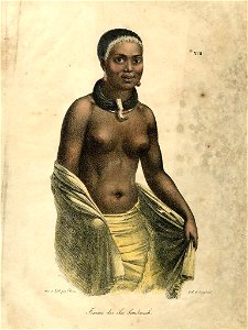 Femme des iles Sandwich (Woman from the Sandwich Islands) (BM Oc2006,Prt.91)