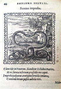 Femina improba (BM 1972,U.11.38)