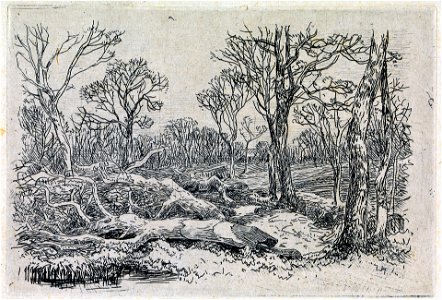 Felled Timber, Burningham - John Middleton