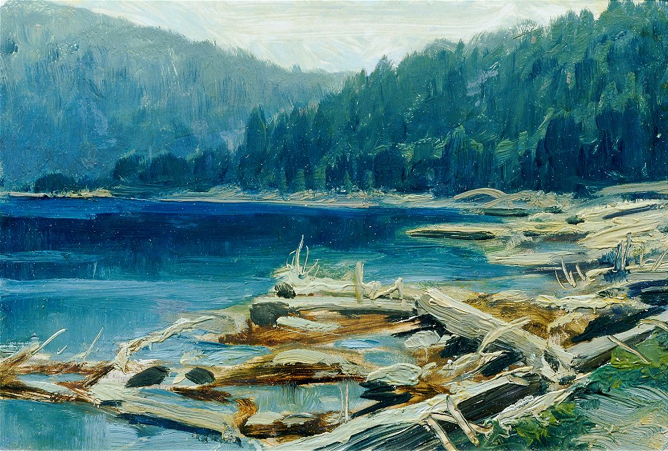 Ferdinand Engelmüller - Böhmerwald (aus der Mappe „16 Ansichten tschechischer Landschaften 'Česka Krajiná'“) - 1093c - Österreichische Galerie Belvedere