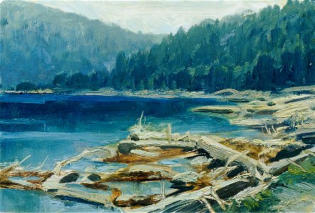 Ferdinand Engelmüller - Böhmerwald (aus der Mappe „16 Ansichten tschechischer Landschaften 'Česka Krajiná'“) - 1093c - Österreichische Galerie Belvedere