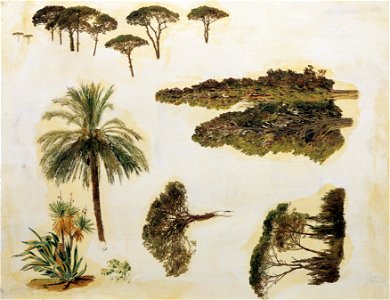 Ferdinand Georg Waldmüller - Baumstudien aus Rom - 529 - Österreichische Galerie Belvedere