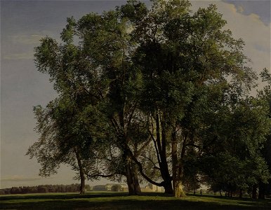 Ferdinand Georg Waldmüller - Praterlandschaft - Google Art Project