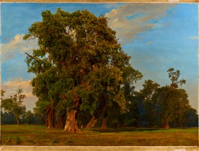 Ferdinand Georg Waldmüller - Große Praterlandschaft - 1255 - Österreichische Galerie Belvedere