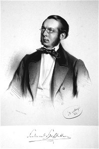Ferdinand Hochstetter Litho