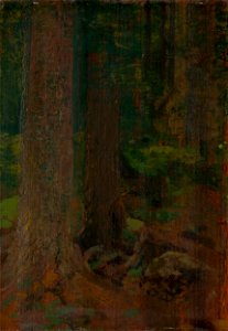 Ferdinand Katona - Study of Forest - O 5141 - Slovak National Gallery