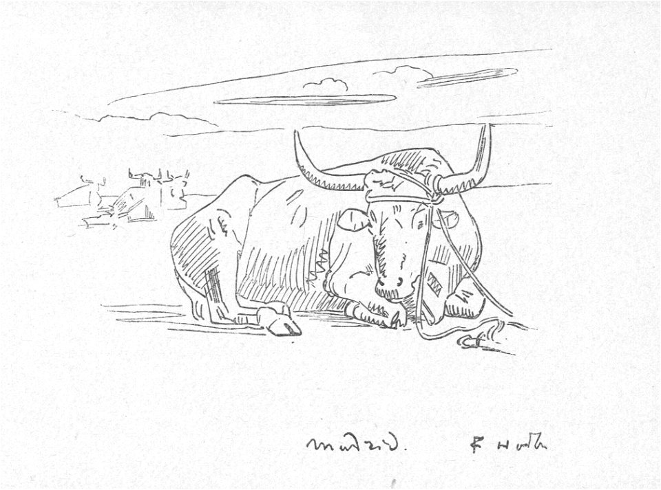 Ferdinand Hodler Spanischer Stier