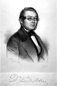 Ferdinand von Hebra Stadler Litho