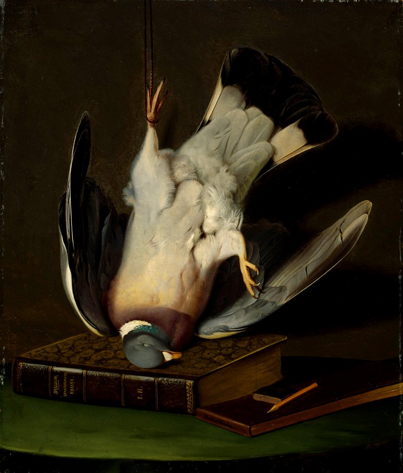 Ferdinand von Wright - A Dead Wood Pigeon - A I 61 - Finnish National Gallery