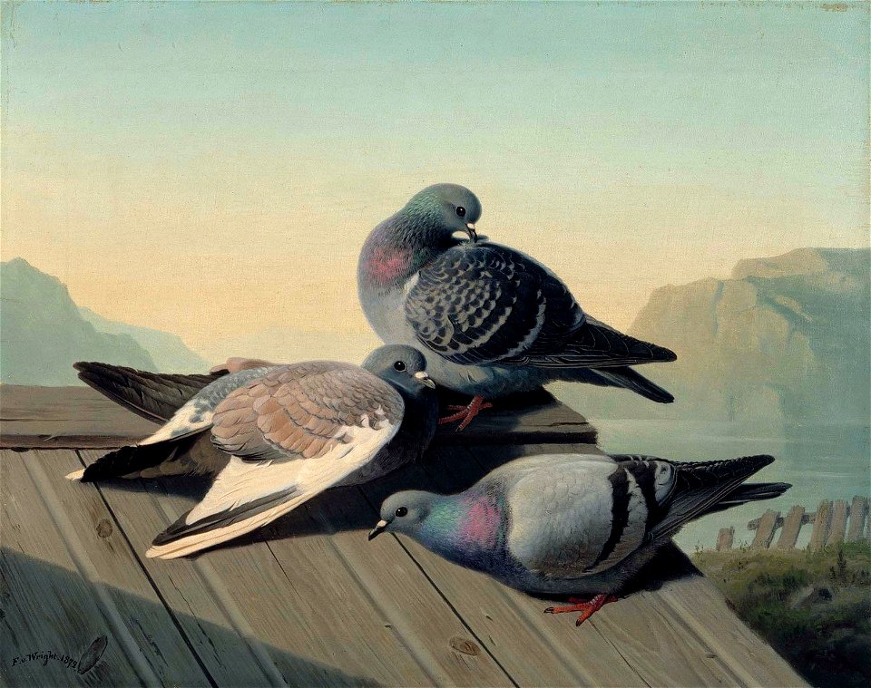 Ferdinand von Wright - Doves on a Roof - A-2002-612 - Finnish National Gallery