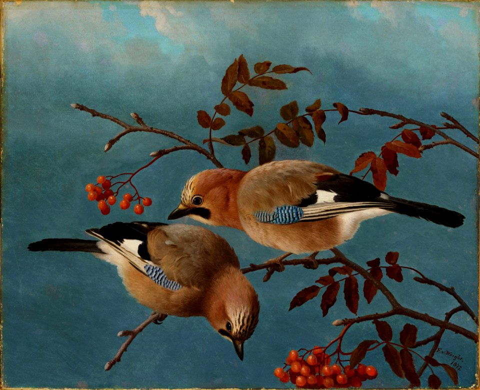 Ferdinand von Wright - Jays - A-2002-627 - Finnish National Gallery