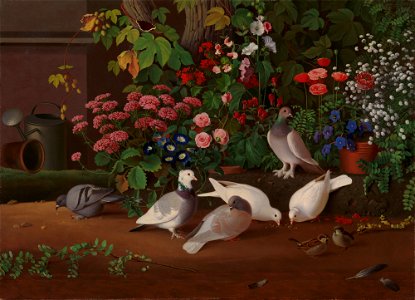 Ferdinand von Wright - From the Garden, Flowers and Birds - A III 2576 - Finnish National Gallery