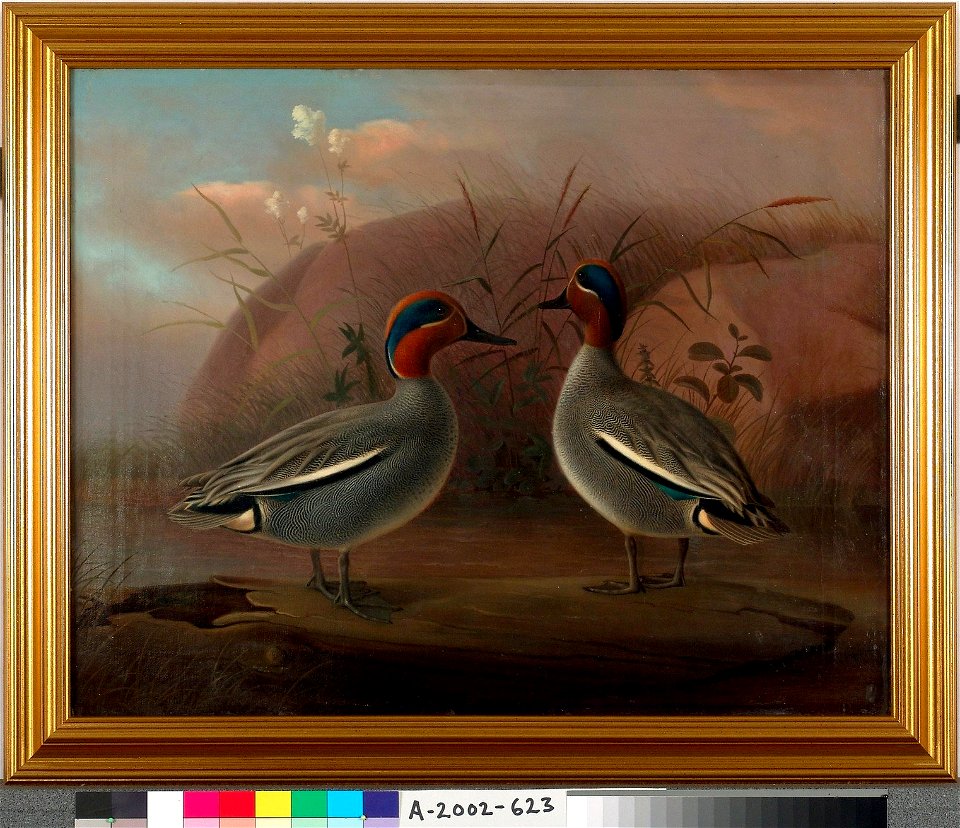 Ferdinand von Wright - Two Male Teals by the Water - A-2002-623 - Finnish National Gallery