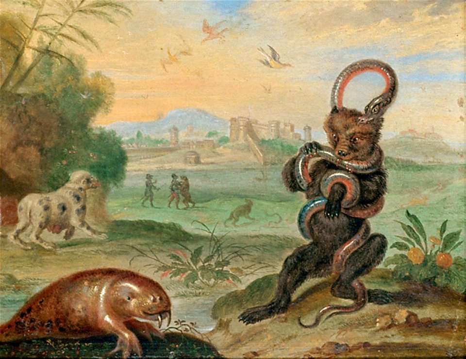 Ferdinand van Kessel - Puerto Rico
