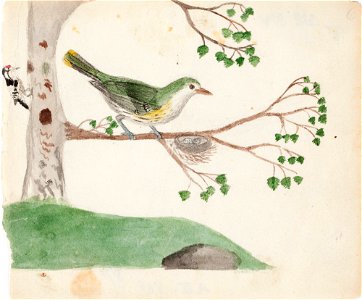 Ferdinand von Wright - Two Birds - A II 815-8 - Finnish National Gallery