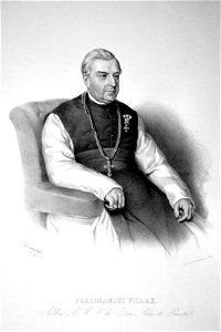 Ferdinand Villax Litho