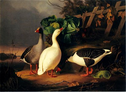 Ferdinand von Wright, Hanhiperhe