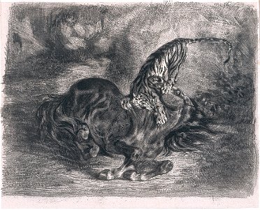 Ferdinand-Victor-Eugène Delacroix - Cheval sauvage terrassé par un tigre (Wild Horse Felled by a Tiger) - Google Art Project