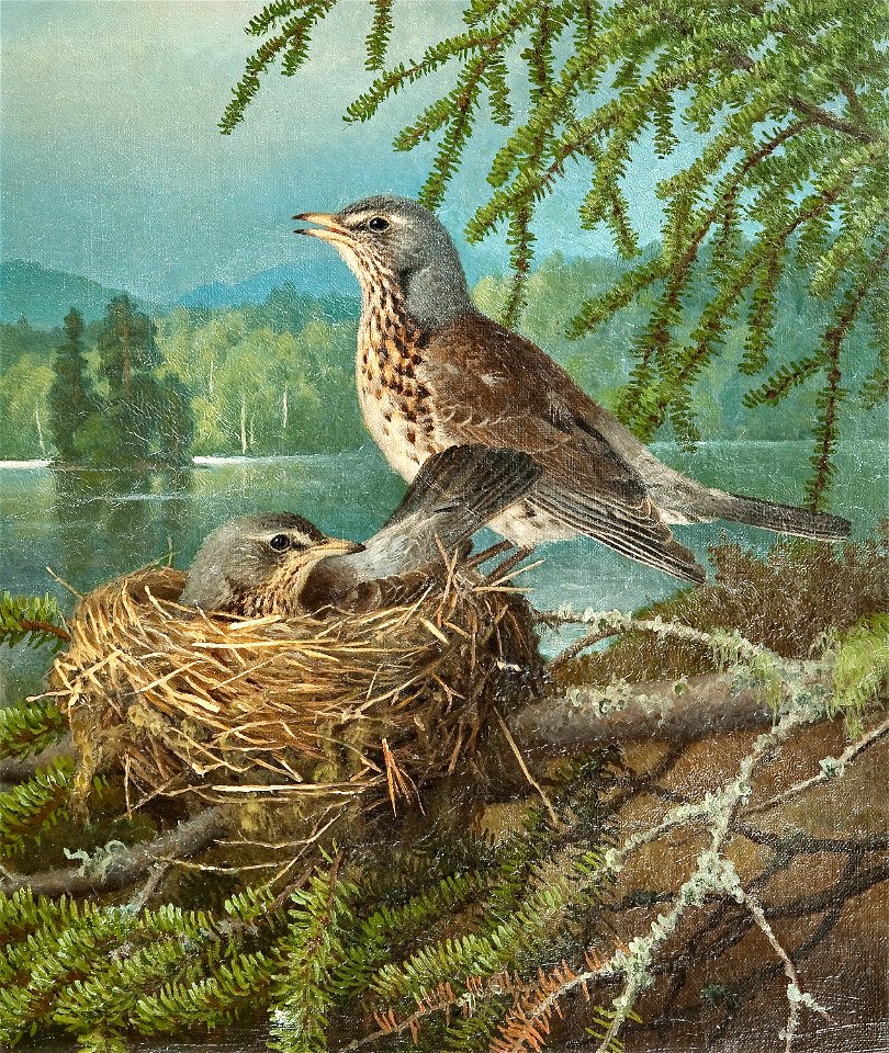 Ferdinand von Wright - Fåglar i boet