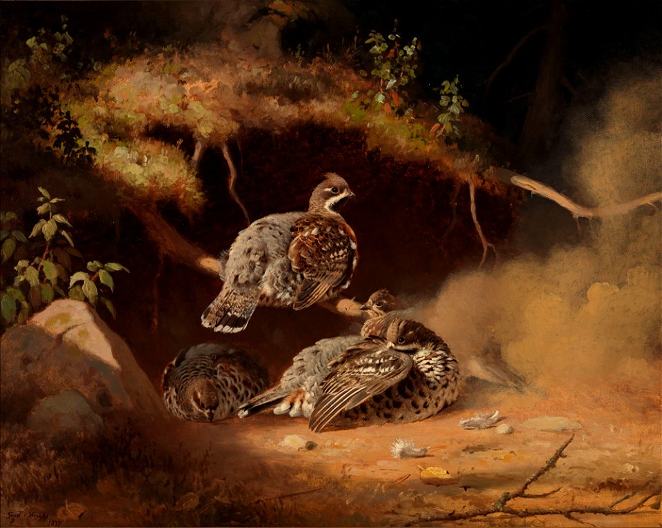 Ferdinand von Wright - Pyitä rypykuopalla - A III 2637 - Finnish National Gallery