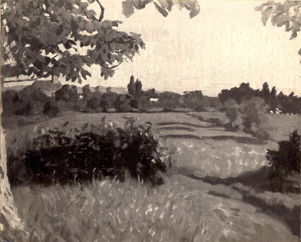 Ferenczy Klastromrét at Nagybánya