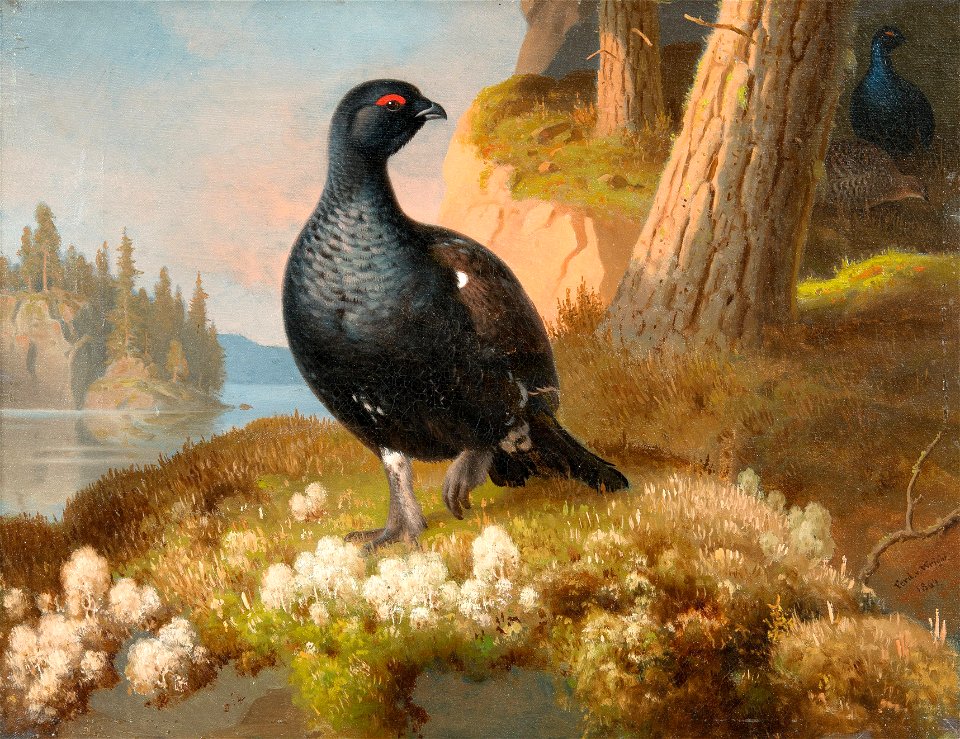 Ferdinand von Wright Orrar