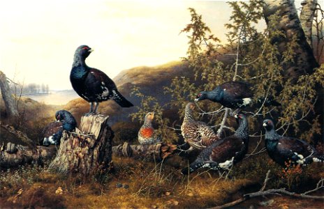 Ferdinand von Wright, Metsoja katajan ympärillä