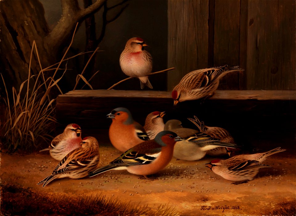 Ferdinand von Wright - Chaffinches and Redpolls - A I 63 - Finnish National Gallery
