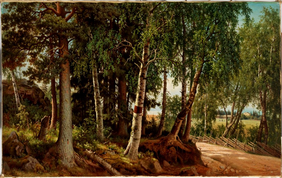 Ferdinand von Wright - Forest Landscape from Haminalahti - A IV 3987 - Finnish National Gallery