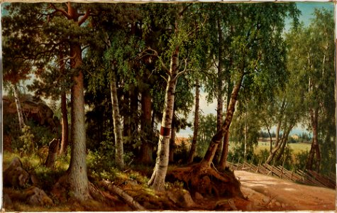 Ferdinand von Wright - Forest Landscape from Haminalahti - A IV 3987 - Finnish National Gallery