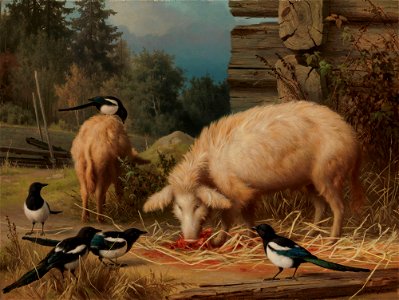 Ferdinand von Wright - Pigs and Magpies - A I 66 - Finnish National Gallery