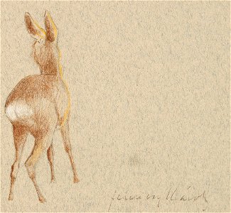 Ferenczy Roe Deer