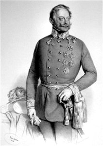 Ferencz Jozsef Gyulai (cropped)