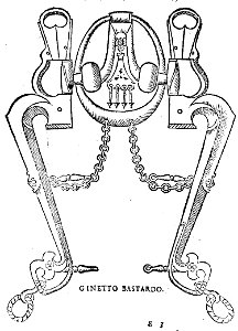 Fiaschi ginetto bastardo p074