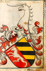 Fetzer von Ockenhausen Scheibler205ps