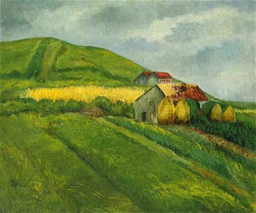 Fields in the South of France