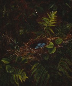 Fidelia Bridges - Bird's Nest and Ferns - 1987.169 - Art Institute of Chicago