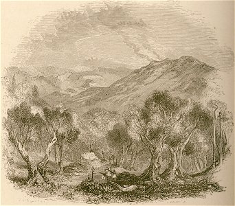 Figaleia - Wordsworth Christopher - 1882