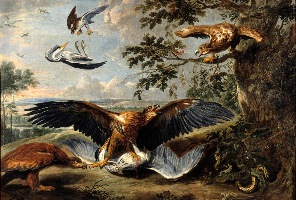 Fight between Eagles - Nationalmuseum - 17641