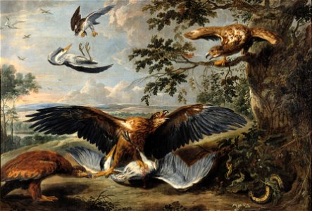 Fight between Eagles - Nationalmuseum - 17641