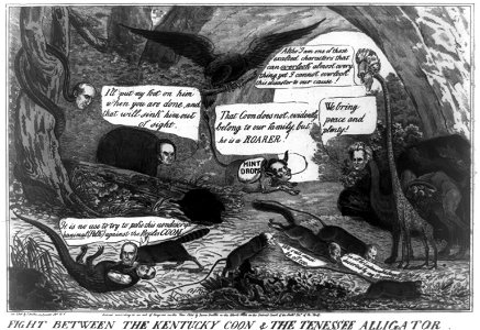 Fight between the Kentucky coon & the Tenessee (i.e. Tennessee) alligator LCCN2008661425