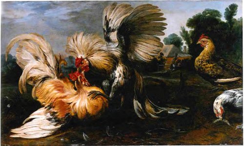 Frans Snyders - Cockfight. Free illustration for personal and commercial use.